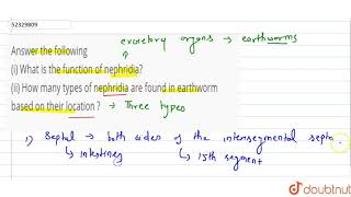 Answer the following i What is the function of nephridia ii How many types of nephridia are [upl. by Nirat]