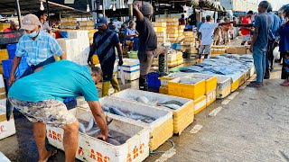 Exploring Sri Lanka’s Busy Fish Market In Negombo  Fish Cutting Skills [upl. by Toft]