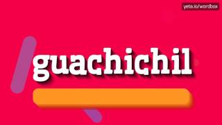 HOW TO SAY GUACHICHIL guachichil [upl. by Theda]