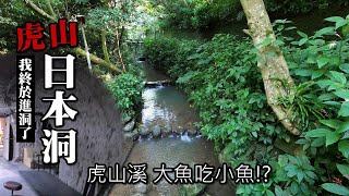 青山依舊在，只是許多風景已不在。虎山溪的魚、虎山的日本洞 [upl. by Sansone]