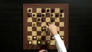 Magnus Carlsen Chess Training on Play Magnus App How to Play the Opening [upl. by Penland]