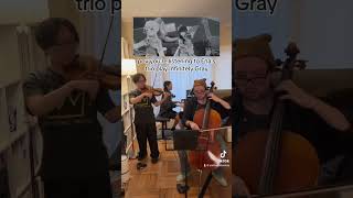 Infinitely Gray  すりぃ  Piano Trio cover colorfulstage pjsk プロセカ violin cello piano music [upl. by Cathrine]