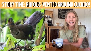 Alexa Explains Story time The Rufousvented Ground Cuckoo [upl. by Anaiviv707]