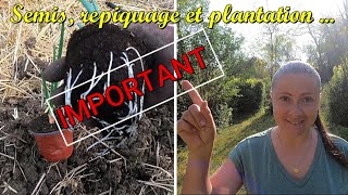 Semis repiquage plantation au potager afin déconomiser 🌱💶 [upl. by Odilo289]