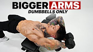 Bigger Arms Workout Using Only Dumbbells [upl. by Animahs894]