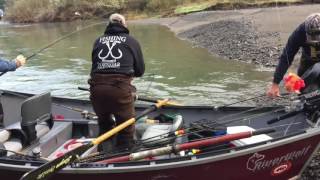 Salmon Fishing the Sixes River [upl. by Loux380]