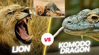 Lion vs Komodo dragon Even lion cannot survive a komodo dragon attack [upl. by Ecnerat]