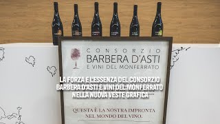 Barbera dAsti e Vini del Monferrato 10 anni del Nizza Docg e nuove etichette [upl. by Yenruoc]