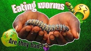 Mopane worms challenge🐛 The Epic life of Lee [upl. by Ilahtan]