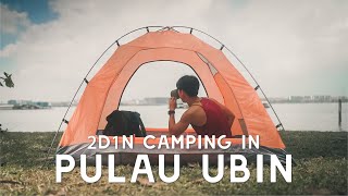 EPIC CAMPFIRE  Overnight Camping in Pulau Ubin Singapore [upl. by Turmel]