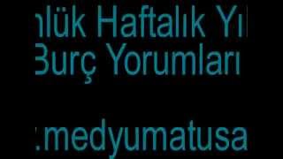 2013 Yengec Burcu Yorumu [upl. by Teryl]