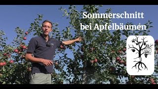 Der Sommerschnitt beim Apfel leicht gemacht  Obstbäume im Sommer schneiden [upl. by Aleahc376]