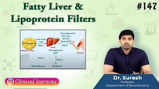 147 Fatty Liver amp Lipoprotein Filters [upl. by Laon]