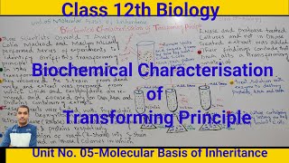 Biochemical Characterisation of Transforming Principle Class 12th Biologydrnyr755 [upl. by Jacinda]