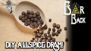 Bar Back Allspice Dram [upl. by Nosyarg]