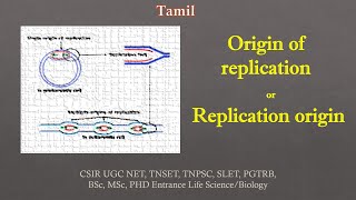 Origin of Replication  Replication origin Tamil CSIR NET TNSET GATE  PGTRB BSc MSc [upl. by Adoc]