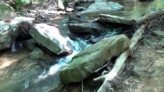 Moss Rock Preserve Hoover AL July 2017 [upl. by Peltz474]