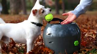 The PetSafe® Automatic Ball Launcher [upl. by Audrye]