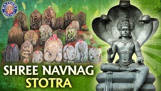 नागपंचमी विशेष  Navnag Stotra With Lyrics  Nag Panchami Special With Lyrics  नागपंचमी 2021 [upl. by Kilar]