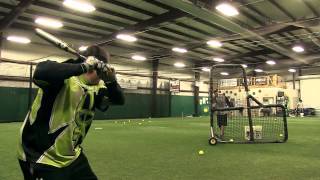 DeMarini CF6 Insane Crystl Bustos Bat Review [upl. by Trocki]