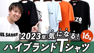 【バズりTシャツ16選】2023春夏に買うべきブランドTシャツを徹底レビュー！ネットでTシャツを買う時のサイズ選びのコツ、Tシャツの素材感、白Tの透け感など詳しく検証 バイマ購入品紹介 [upl. by Ecnal]