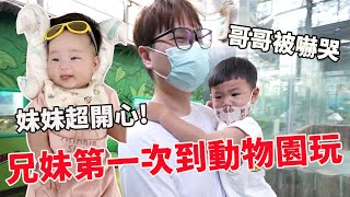 第一次帶兄妹倆到頑皮世界動物園玩 鼠來寶被嚇到大哭尖叫【Bobo TV】ft chicco one4Ever全能秒收手推車 [upl. by Assilrac]