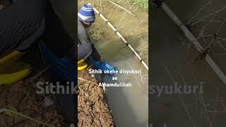 shortvideo oppana subjillaoppana jasnahasain [upl. by Kowal555]