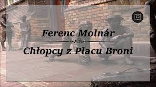 Chłopcy z placu broni  Ferenc Molnár Całość Bez reklam Audiobook [upl. by Ydwor880]