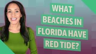 What beaches in Florida have red tide [upl. by Elish]