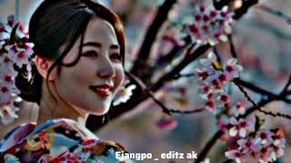 jinong asami  karbi song lyrics video [upl. by Yeldar]