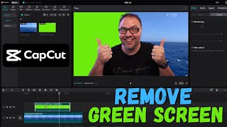 How to Remove Green Screen on Capcut PC [upl. by Husain]