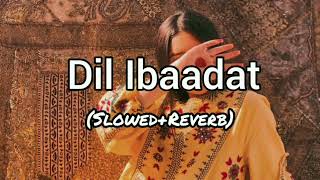 Dil Ibaadat  Slowed Reverb [upl. by Ohaus]