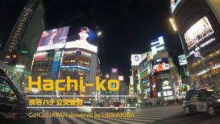 【Invehicle video】Night Drive Through Harajuku Shibuya and Shinjuku [upl. by Naek764]