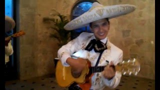 NOVILLERO VERSION MARIACHI MOYA [upl. by Hamrah]