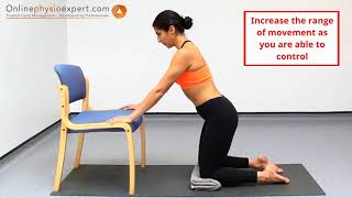 Control Lumbar Spine Flexion With A Waiters Bow Exercise  Level 1 [upl. by Juxon]