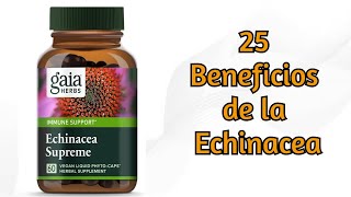 Echinacea 25 Beneficios para la Salud [upl. by Imefulo]