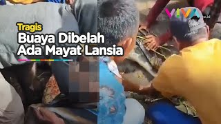 Tragis Lansia Tewas Dimakan Buaya [upl. by Woothen]