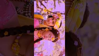 Chinna payya chinna ponna kadhalicha trending radhakrishna music shortvideo song love [upl. by Ecirtnuahs]