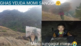 MOMI SANGA GHAS LINA GADAI 🤗II MERO SUNDUR MAREU😭😥II Anjali rai vlog [upl. by Eleon]