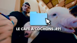 ON TEST UN CAFÉ À MINI COCHONS avec Donovanmagicien 558 [upl. by Naahsar]