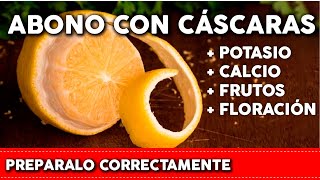 LIMON BANANA y otras frutas en tus PLANTAS Pon su CÁSCARA pero de la forma correcta  Abono Casero [upl. by Mendive]