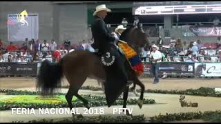 Tentadora De Barcelona Trote Y Galope 2018 [upl. by Herodias]