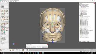 Geomagic Freeform  Forensics Facial Reconstruction Forense [upl. by Nosnarb]