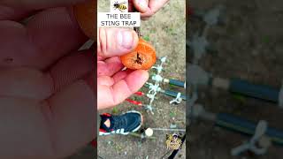 THE BEE STING TRAP trapping trap survival survivaljungletrap metaldetecting trapmaking [upl. by Junius675]