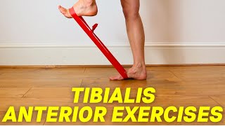 Anterior Tibial Tendonitis Exercises by a Foot Specialist [upl. by Enisaj46]