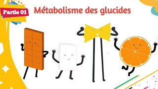 Biochimie  Métabolisme des glucides  Partie 0109 [upl. by Rosetta]