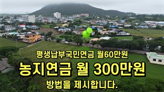 농지연금개발가치와 탈출구 확실하게 보장 [upl. by Kort]