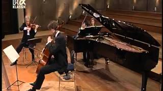 Mendelssohn Piano Trio No 1 Lang Lang [upl. by Enyehc]