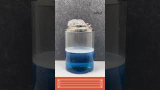 What Happens To The Lid In This Water Cycle Experiment shortsscienceexperiments [upl. by Pentheam]