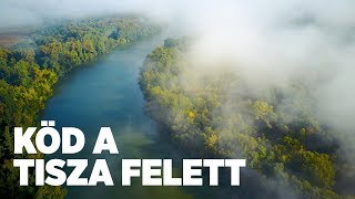 Csodaszép köd a Tisza felett [upl. by Ard601]